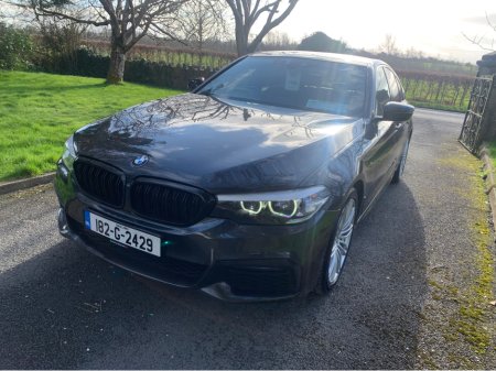 2018 BMW 5 Series - thumbnail 6