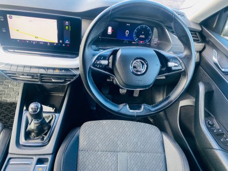 2021 Skoda Octavia - thumbnail 12