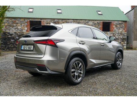 2018 Lexus NX 300 h - thumbnail 15