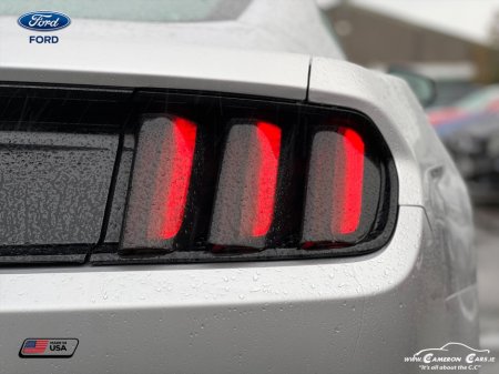 2017 Ford Mustang - thumbnail 8