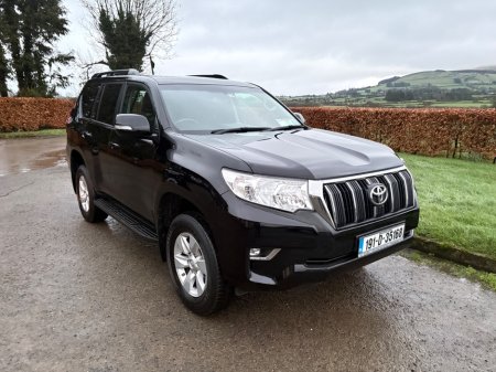 2019 Toyota Landcruiser - thumbnail 2