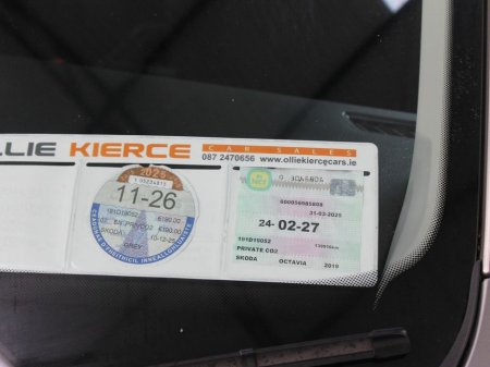 2019 Skoda Octavia - thumbnail 10