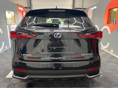2019 Lexus NX 300 h - photo 3
