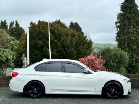 2017 BMW 3 Series ALPINE WHITE 318D MSPORT AUTO €17,950 thumbnail