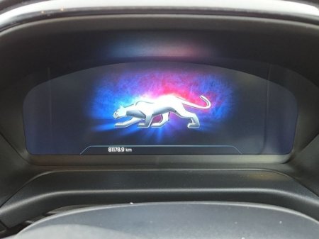 2021 Ford Puma 1.0T EcoBoost mHEV 125PS ST-Line €21,950 thumbnail