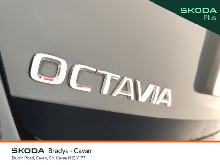 2023 Skoda Octavia - thumbnail 28