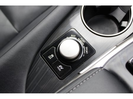 2019 Lexus RX 450hL - thumbnail 19