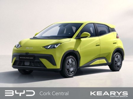 2026 BYD Dolphin Surf for sale