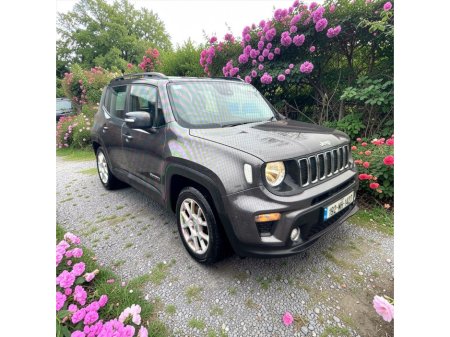 2019 Jeep Renegade - thumbnail 5