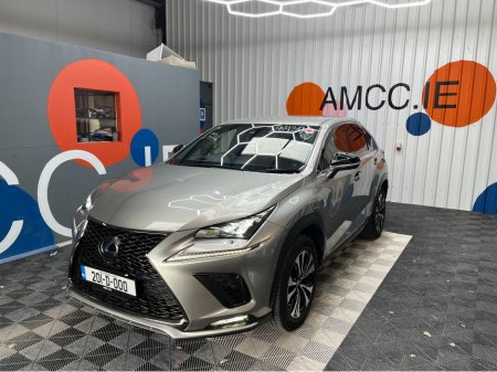 2020 Lexus NX 350h - photo 5