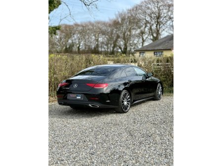 2019 Mercedes-Benz CLS Class - thumbnail 12