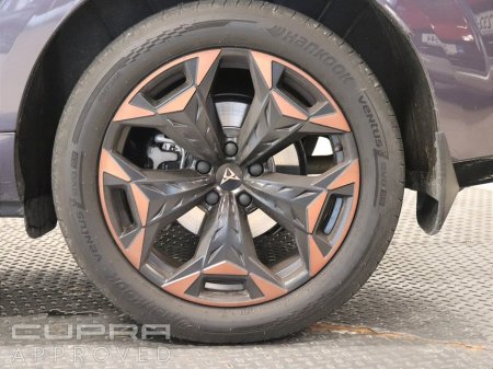 2026 Cupra Terramar - thumbnail 6