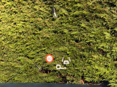 2026 Audi SQ7 - thumbnail 23