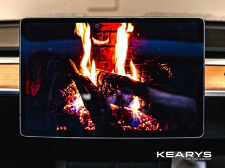 2021 Tesla Model 3 - thumbnail 19