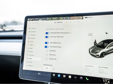 2020 Tesla Model 3 - thumbnail 29