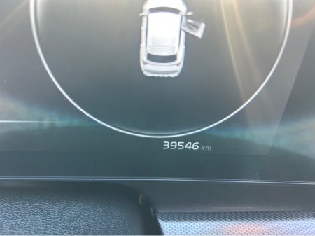 2024 Kia Sportage - thumbnail 19