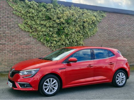 2019 Renault Megane - thumbnail 14