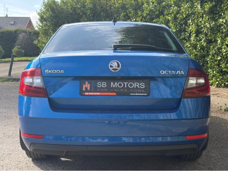 2019 Skoda Octavia - thumbnail 5