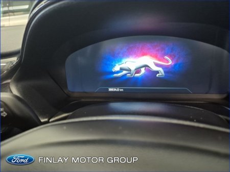 2024 Ford Puma - thumbnail 14