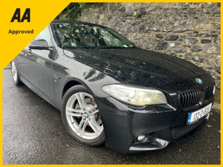 2013 BMW 5 Series - thumbnail 13