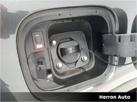 2025 Kia Sorento - thumbnail 19