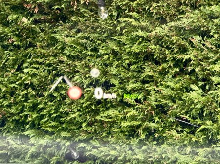 2024 Land Rover Range Rover Sport RANGER RR 3.0 €119,950 thumbnail