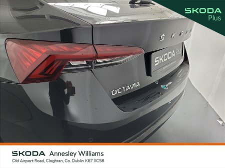 2023 Skoda Octavia - thumbnail 21