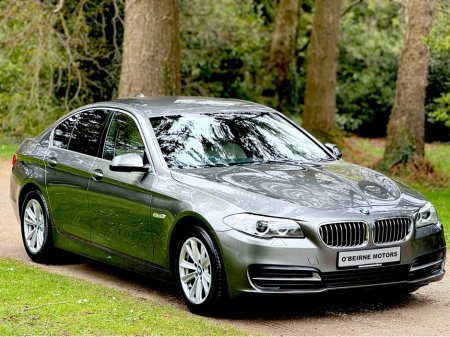 2015 BMW 5 Series - thumbnail 5