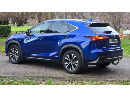 2018 Lexus NX 300 h - thumbnail 8