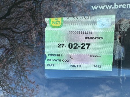 2012 Fiat Punto - thumbnail 11