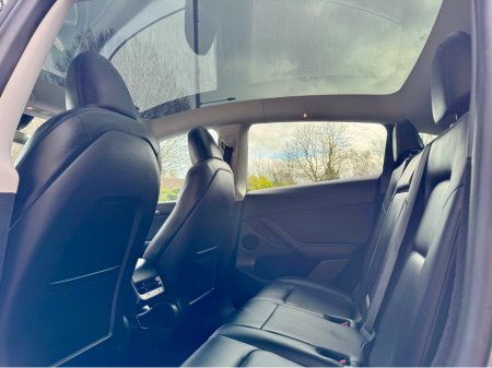 2024 Tesla Model Y - thumbnail 22