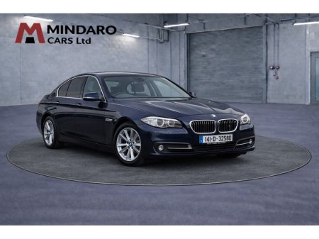 2014 BMW 5 Series - thumbnail 1