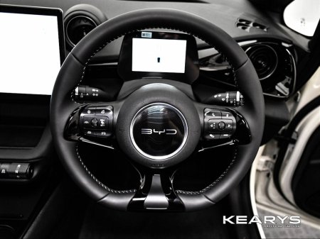 2025 BYD Dolphin - thumbnail 28