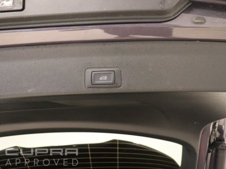 2026 Cupra Terramar - thumbnail 18