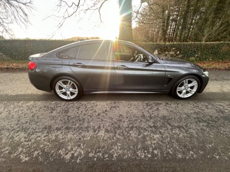 2017 BMW 4 Series 420d M Sport Auto €19,850 thumbnail