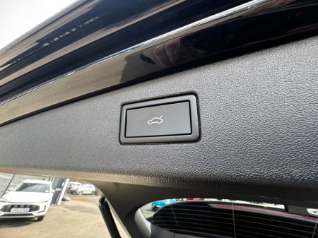 2025 Volkswagen Tiguan - thumbnail 17