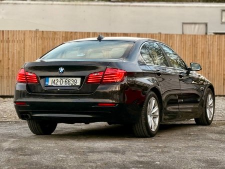 2014 BMW 5 Series - thumbnail 16