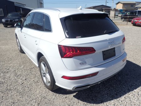 2019 Audi Q5 2.0 TDI S-LINE PLUS EDITION QUATTRO DIESEL AUTOMATIC €32,950 thumbnail