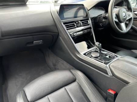 2019 BMW 8-Series - photo 18