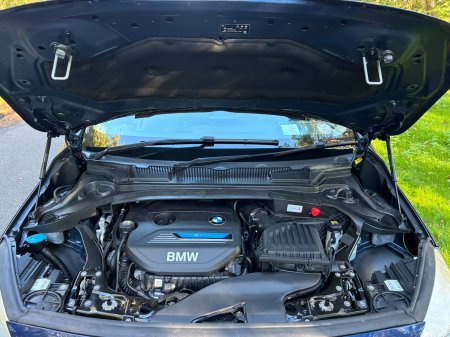 2017 BMW 2-Series - photo 33