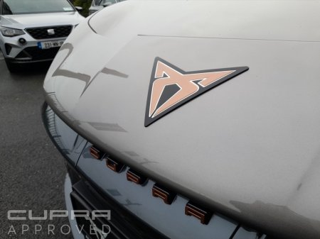 2026 Cupra Tavascan - photo 21