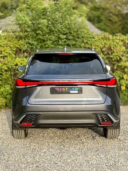 2025 Lexus RX - photo 12