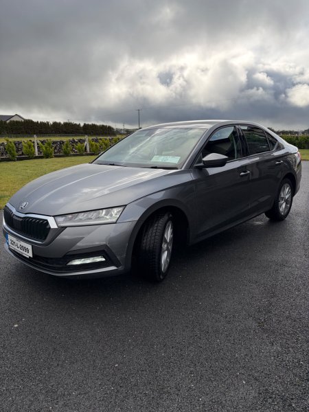 2022 Skoda Octavia - photo 2