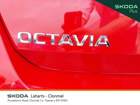2023 Skoda Octavia - photo 24