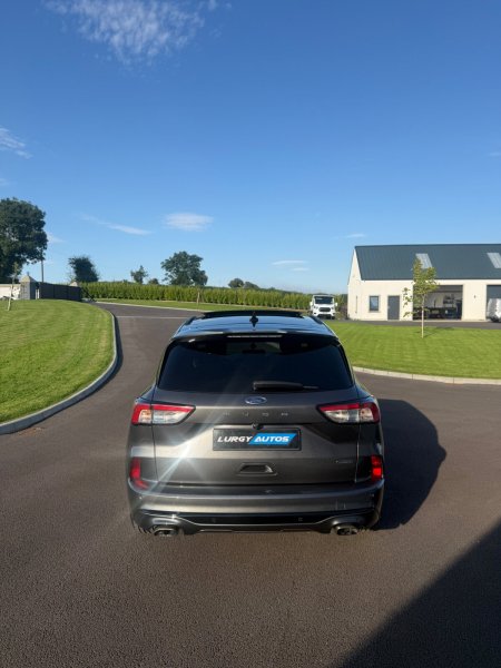 2023 Ford Kuga - photo 3