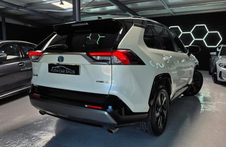 2019 Toyota RAV4 - photo 9