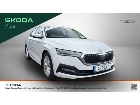 2024 Skoda Octavia - photo 12