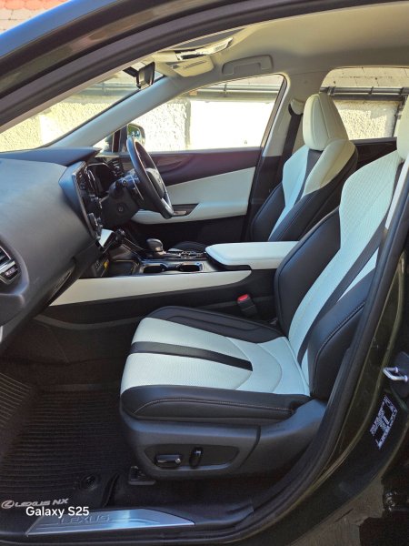 2025 Lexus NX - photo 19