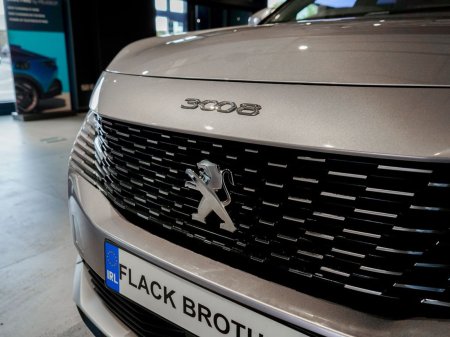 2022 Peugeot 3008 - photo 3