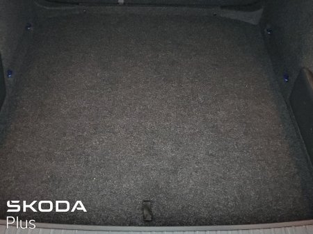 2023 Skoda Octavia - photo 10